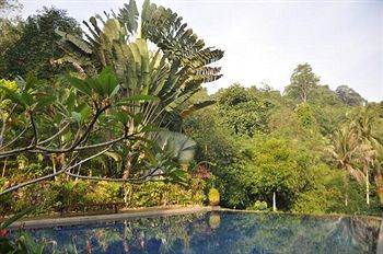 Tiger Rock Hotel Pangkor Island Kültér fotó